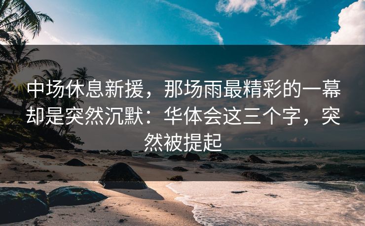中场休息新援,那场雨最精彩的一幕却是突然沉默:华体会这三个字,突然被提起 中场休息新援,那场雨最精彩的一幕却是突然沉默:华体会这三个字,突然被提起